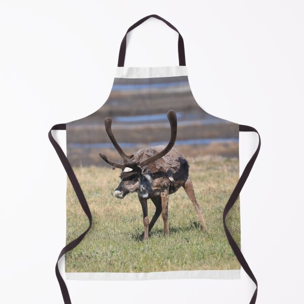 Item preview, Reindeer in Deadhorse camp II designed and sold by zumi.