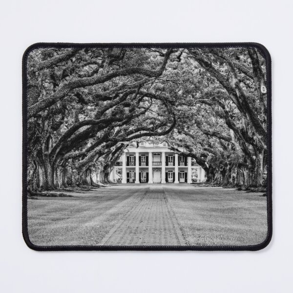 Item preview, Oak Alley Plantation in Black and White designed and sold by Kay Brewer.