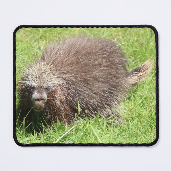 Item preview, Tree Porcupine designed and sold by Ladymoose.