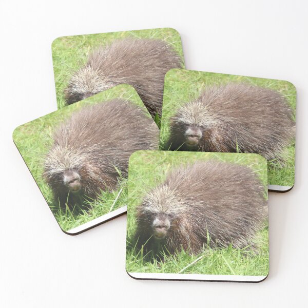 Item preview, Tree Porcupine designed and sold by Ladymoose.