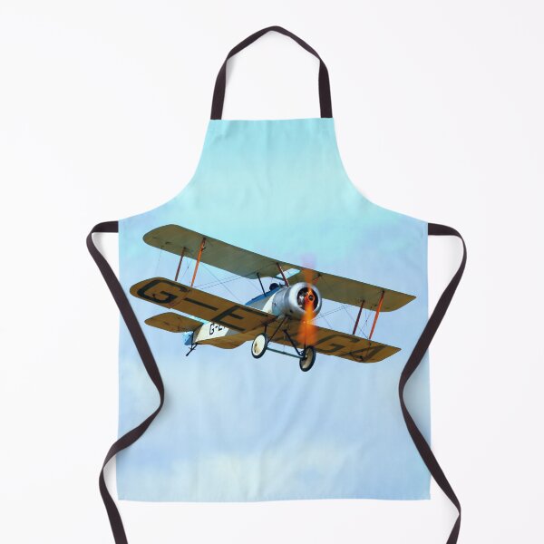 Item preview, Sopwith Dove G-EAGA flies past designed and sold by MartinPhotos.