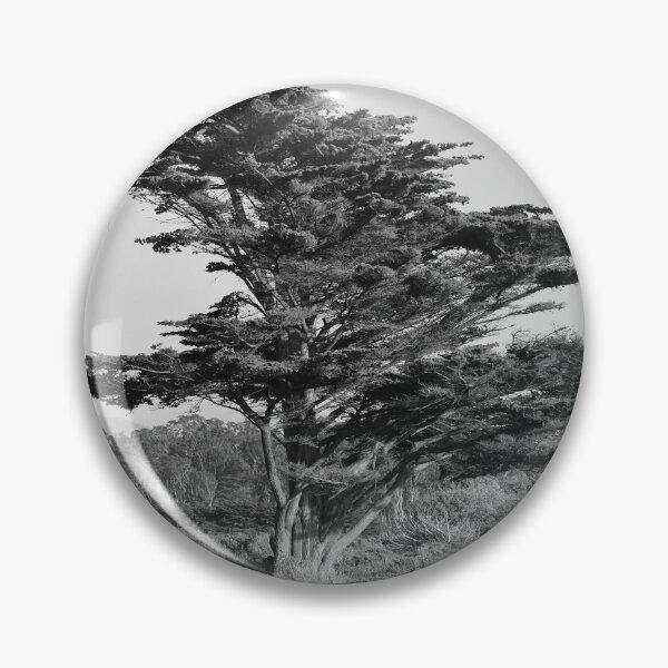 Item preview, Redwood Tree in Half Moon Bay, Grayscale designed and sold by Igor Pozdnyakov.