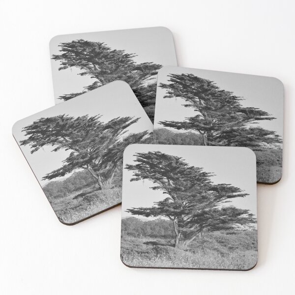 Item preview, Redwood Tree in Half Moon Bay, Grayscale designed and sold by Igor Pozdnyakov.