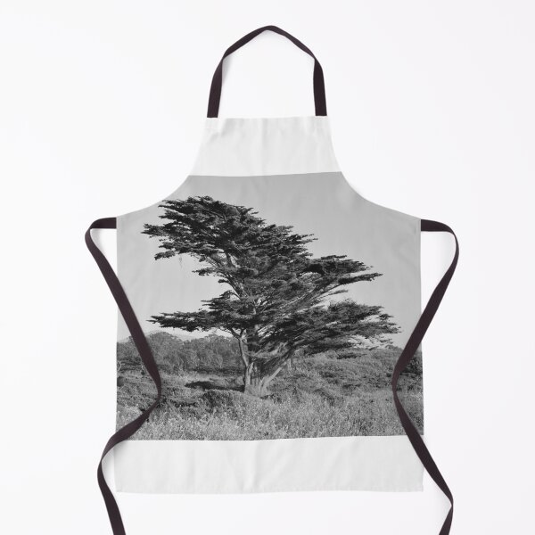 Item preview, Redwood Tree in Half Moon Bay, Grayscale designed and sold by Igor Pozdnyakov.