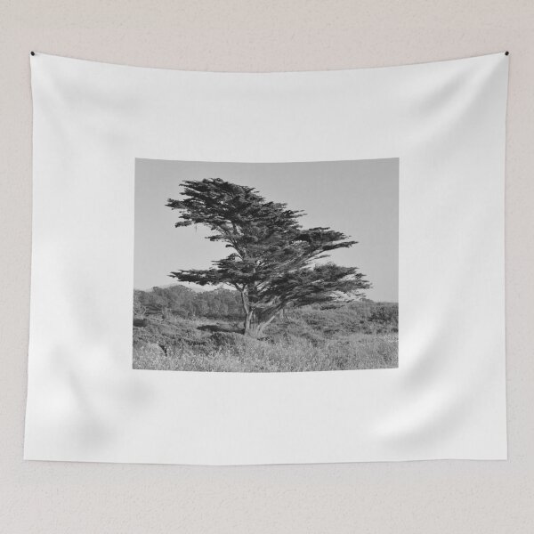 Item preview, Redwood Tree in Half Moon Bay, Grayscale designed and sold by Igor Pozdnyakov.