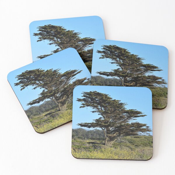 Item preview, Redwood Tree in Half Moon Bay, California designed and sold by Igor Pozdnyakov.