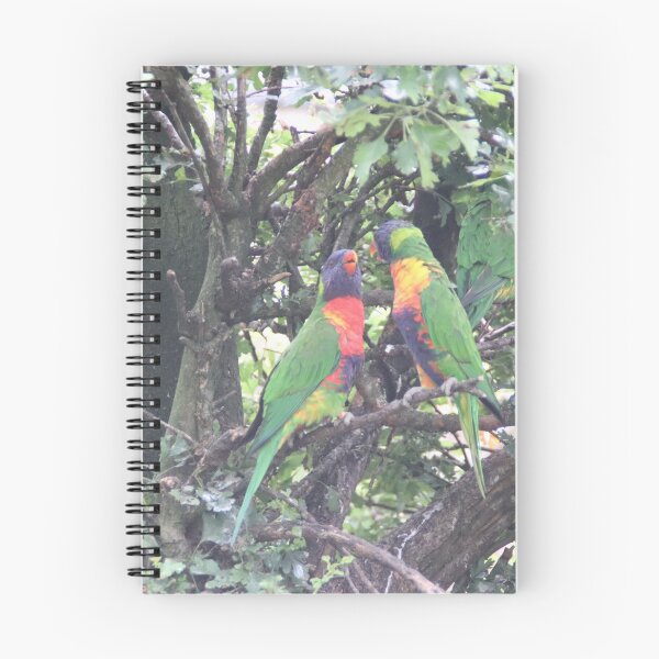 Item preview, Rainbow Lorikeets designed and sold by Ladymoose.
