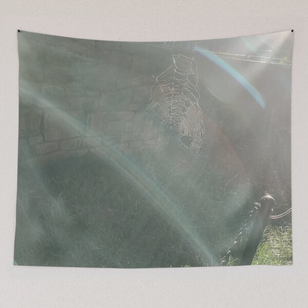 Item preview, Spiderweb in the Morning Sun designed and sold by Mothe3rd.