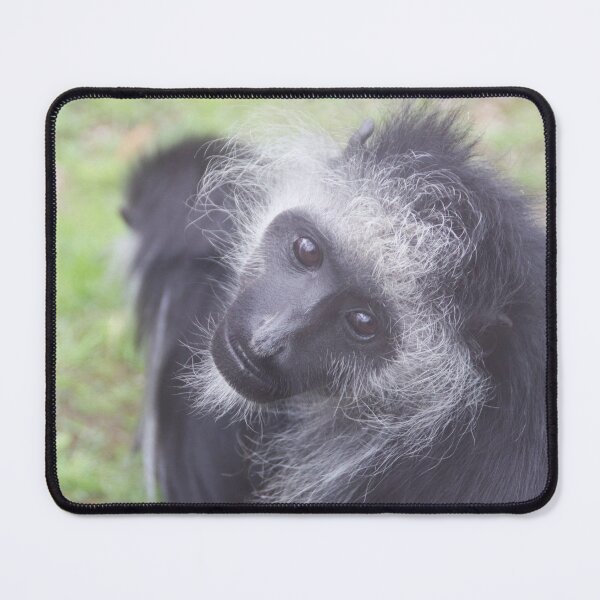Item preview, King Colobus Monkey designed and sold by Ladymoose.