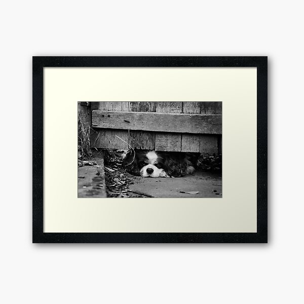 Hatching a plan Framed Art Print