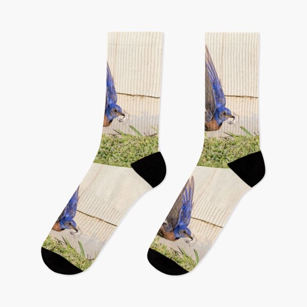 Item preview, Bluebird Catches a Lizard  designed and sold by CarolM.