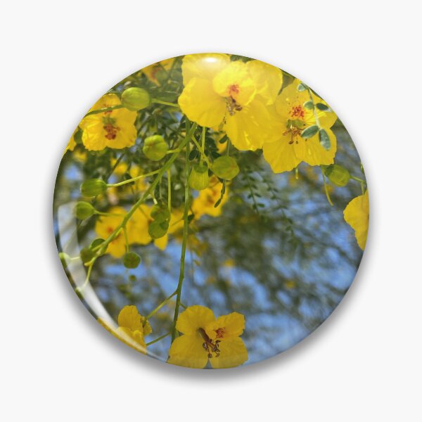 Item preview, Summer, Baseball, Flowers and Fun! designed and sold by The LORD’s Handiwork.