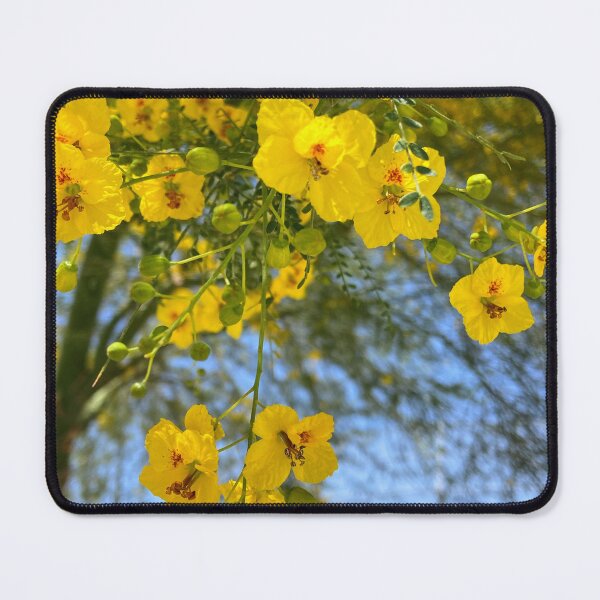 Item preview, Summer, Baseball, Flowers and Fun! designed and sold by The LORD’s Handiwork.