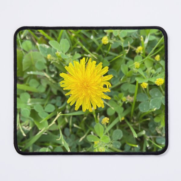 Item preview, Dandelion in the grass designed and sold by The LORD’s Handiwork.