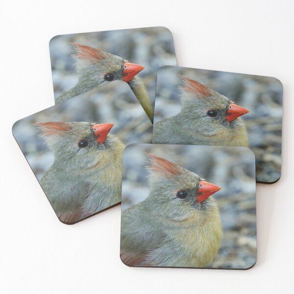 Item preview, Look At Me! designed and sold by Alyce Taylor.