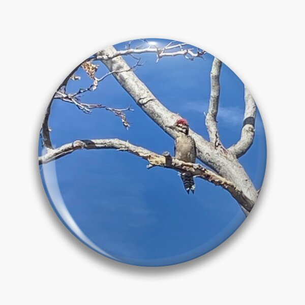 Item preview, Winter woodpecker in the desert.  designed and sold by The LORD’s Handiwork.