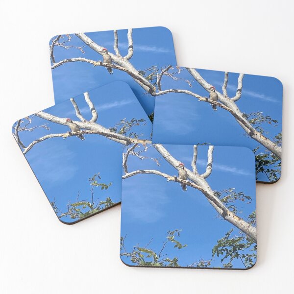 Item preview, Winter woodpecker in the desert.  designed and sold by The LORD’s Handiwork.
