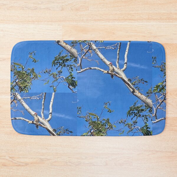 Item preview, Winter woodpecker in the desert.  designed and sold by The LORD’s Handiwork.