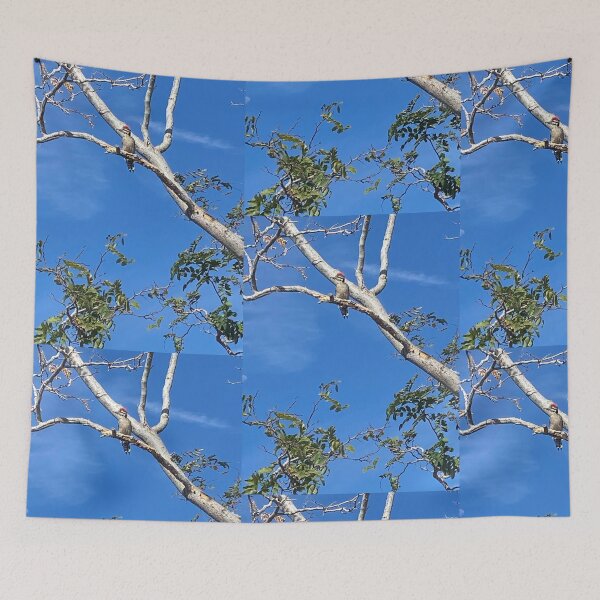 Item preview, Winter woodpecker in the desert.  designed and sold by The LORD’s Handiwork.