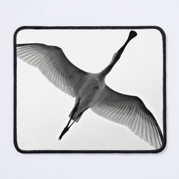 Item preview, Spoonbill in Flight Over Clear Sky designed and sold by ViktoriaLens.