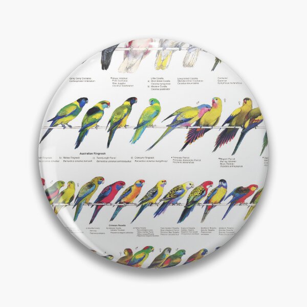 Item preview, Australian Parrots, Lorikeets and Cockatoos designed and sold by marcolando.