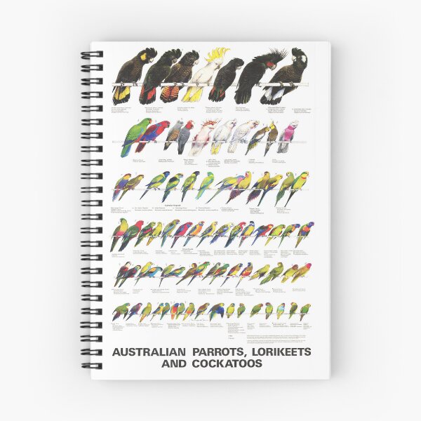 Item preview, Australian Parrots, Lorikeets and Cockatoos designed and sold by marcolando.