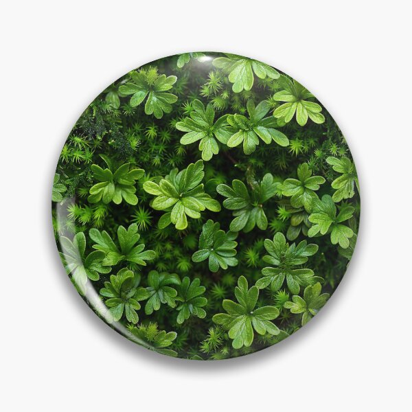 Item preview, Lush Green Moss and Clover Micro-Forest designed and sold by NTGUILTY.