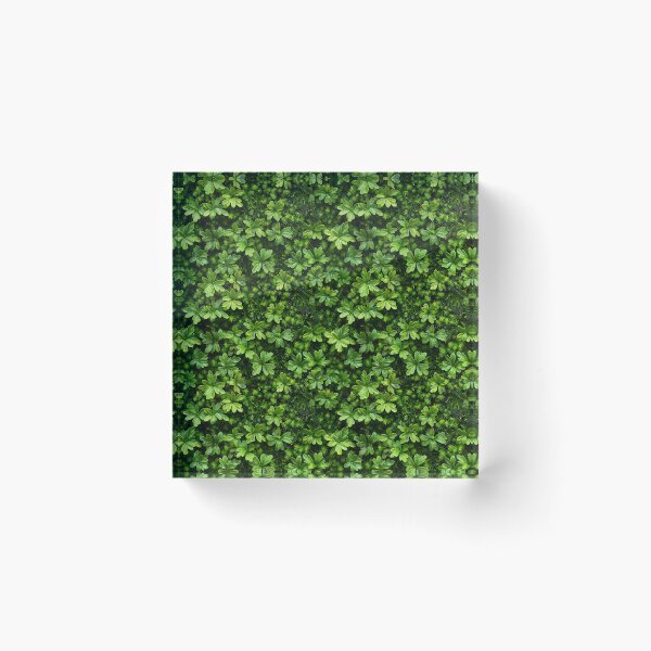 Item preview, Lush Green Moss and Clover Micro-Forest designed and sold by NTGUILTY.