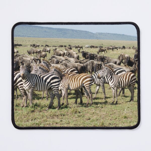 Item preview, Zebras & Wildebeest – African Migration Scene designed and sold by TravelLensPro.