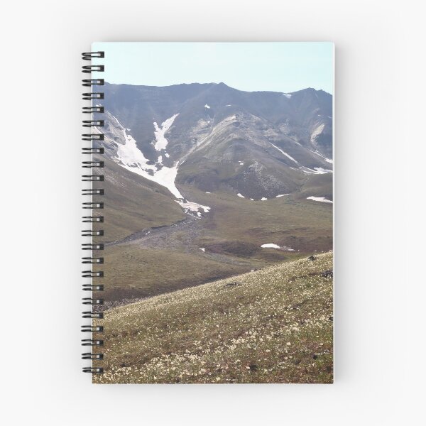Item preview, High arctic environs designed and sold by zumi.