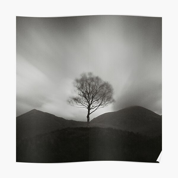Arbre de la vie Poster