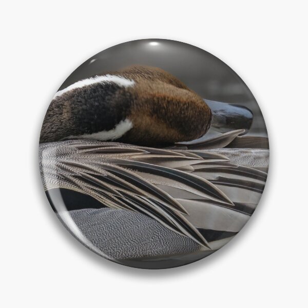 Item preview, Pintail drake  designed and sold by Shannon Emmel .