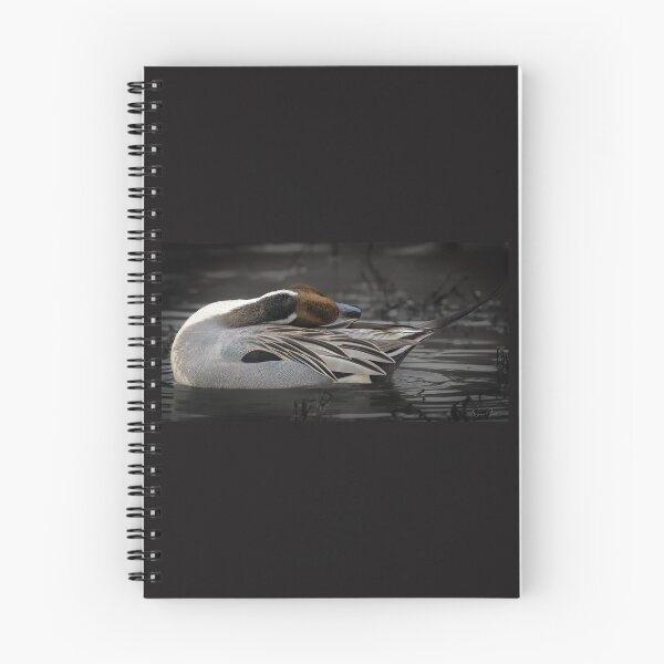 Item preview, Pintail drake  designed and sold by Shannon Emmel .