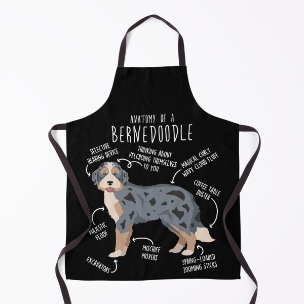 Aperçu de l'œuvre Anatomie du Bernedoodle bleu merle créée et vendue par Clara Hollins.