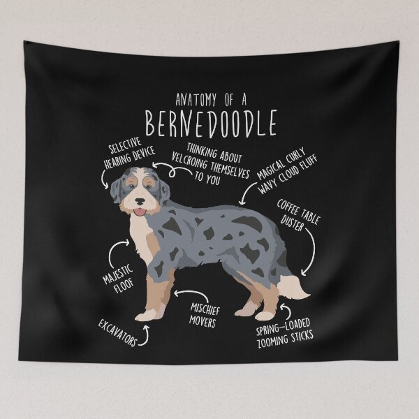 Item preview, Blue Merle Bernedoodle Dog Anatomy designed and sold by Clara Hollins.