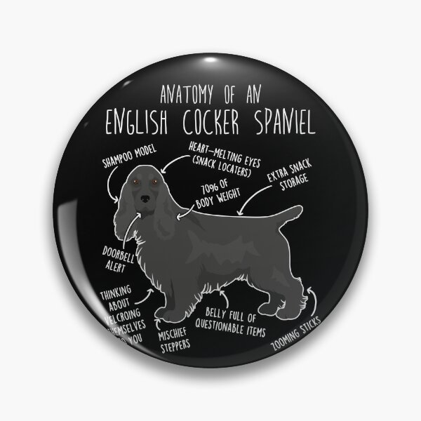 Artikelvorschau, Anatomie des schwarzen English Cocker Spaniel entworfen und verkauft von Clara Hollins.
