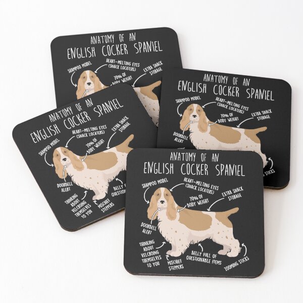 Item preview, Lemon and White English Cocker Spaniel Dog Anatomy designed and sold by Clara Hollins.