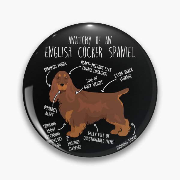 Item preview, Liver and Tan English Cocker Spaniel Dog Anatomy designed and sold by Clara Hollins.