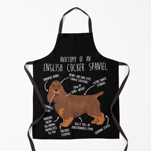 Item preview, Liver and Tan English Cocker Spaniel Dog Anatomy designed and sold by Clara Hollins.