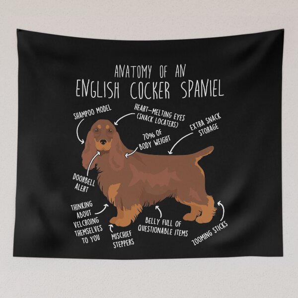 Item preview, Liver and Tan English Cocker Spaniel Dog Anatomy designed and sold by Clara Hollins.