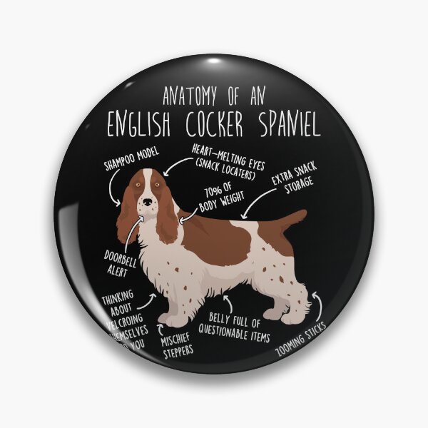 Item preview, Liver and White English Cocker Spaniel Dog Anatomy designed and sold by Clara Hollins.