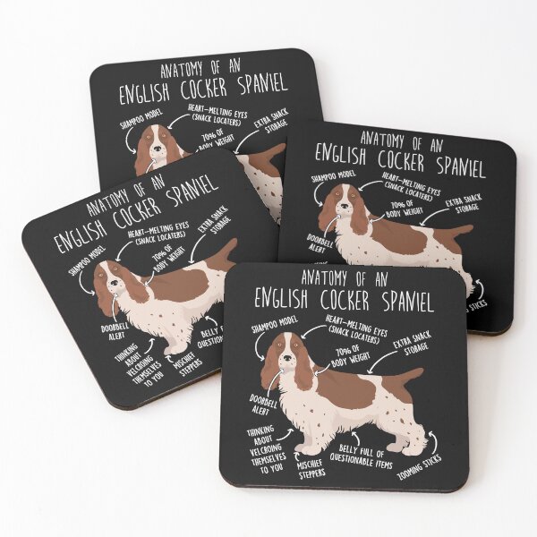 Item preview, Liver and White English Cocker Spaniel Dog Anatomy designed and sold by Clara Hollins.