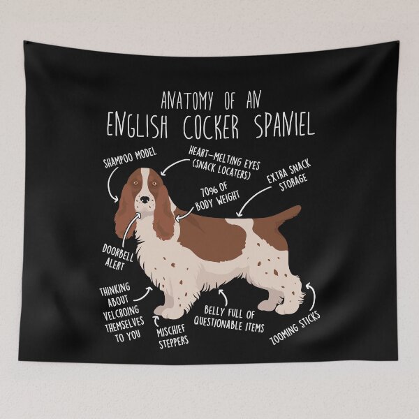 Item preview, Liver and White English Cocker Spaniel Dog Anatomy designed and sold by Clara Hollins.