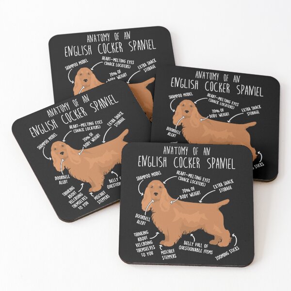 Item preview, Red English Cocker Spaniel Dog Anatomy designed and sold by Clara Hollins.