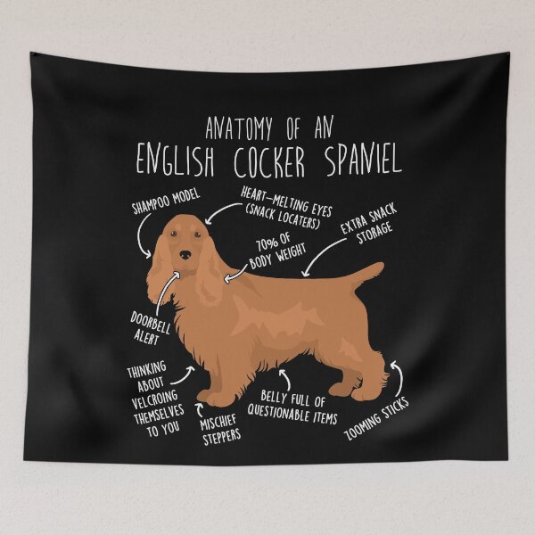 Item preview, Red English Cocker Spaniel Dog Anatomy designed and sold by Clara Hollins.