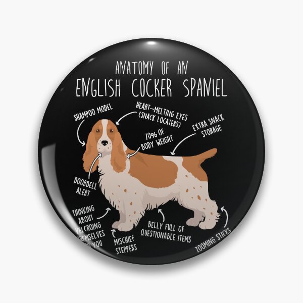 Item preview, Red and White English Cocker Spaniel Dog Anatomy designed and sold by Clara Hollins.