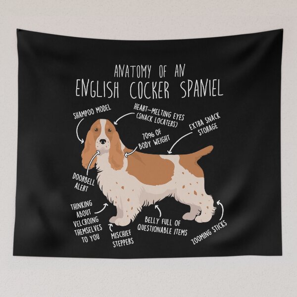 Item preview, Red and White English Cocker Spaniel Dog Anatomy designed and sold by Clara Hollins.