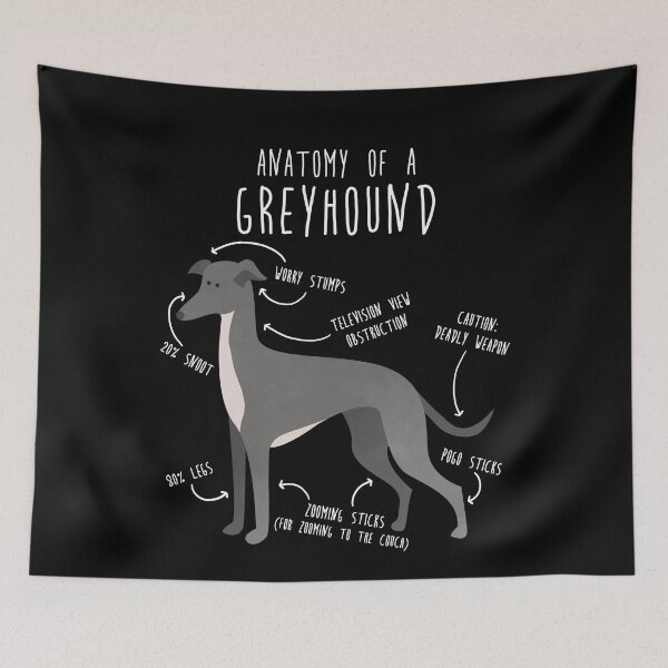 Item preview, Greyhound Dog Anatomy designed and sold by Clara Hollins.