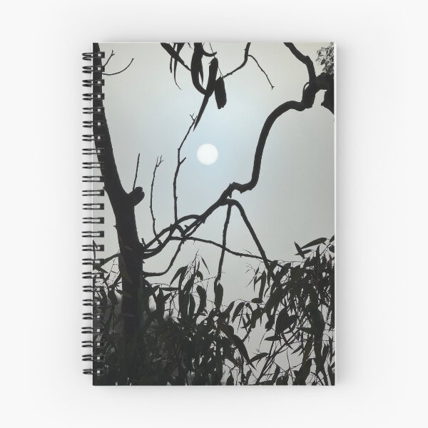 Item preview, Morning sun reflects, peaceful start in Warwick, Queensland, Australia designed and sold by InsightTC.