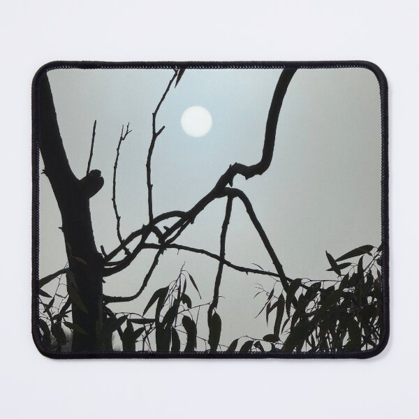 Item preview, Morning sun reflects, peaceful start in Warwick, Queensland, Australia designed and sold by InsightTC.